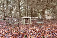 Lieu de repos dans la forêt