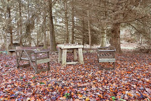 Rustplaats in het bos