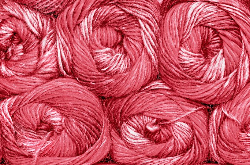 Pink Wool (Wol in Oudroze) van Caroline Lichthart
