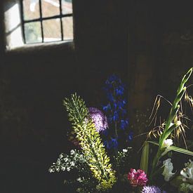 Bloemen in het zonlicht van Annelies Hoek