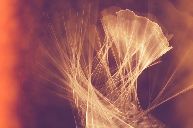Lichtkunstfantasie in warmen, flammenden Farben 2 von Lisette Rijkers
