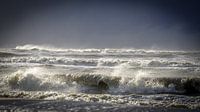 Wellen im Meer von Dirk van Egmond Miniaturansicht