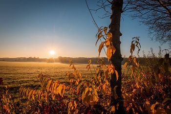Sonnenaufgang Drunen Polder