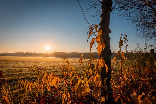 Zonsopkomst Drunen Polder