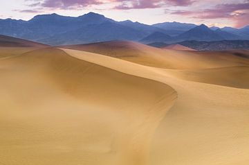 Prosopis dunes de sable plat, Andreas Christensen sur 1x