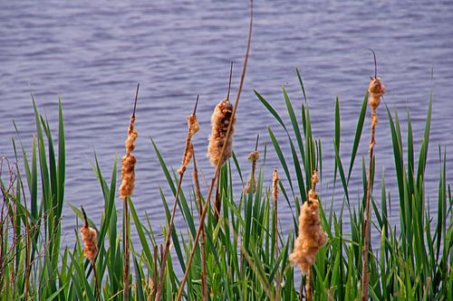 Hafenviertel von W. Hovinga