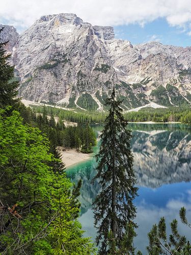 Spectaculaire bergfoto van de beroemde Drie Toppen in de Dolomieten - een tijdloos motief voor alle bergliefhebbers. Heldere structuren, indrukwekkende rotswanden en de onmiskenbare alpine achtergrond maken van deze foto het hoogtepunt van elke muur.