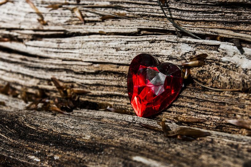 Coeur sur bois par Norbert Sülzner