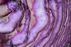 Red cabbage
