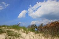 Küstenlandschaft by Ostsee Bilder thumbnail