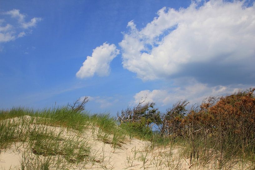 Küstenlandschaft by Ostsee Bilder