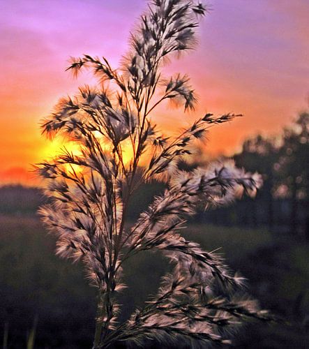 Zonsondergang, maar dan anders....