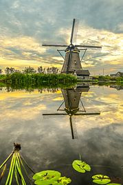 Reflexion von Jack Dwarswaard