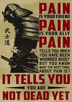 SAMURAI Japan Citaat Pijn