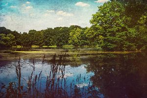 Paysage du lac d'été sur Patrycja Polechonska