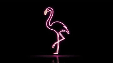 Roze neon flamingo panorama