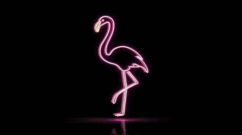 Rosa Neon-Flamingo-Panorama