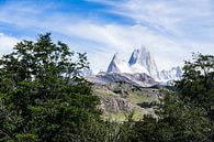 Blick auf die Anden in Argentinien von Shanti Hesse Miniaturansicht