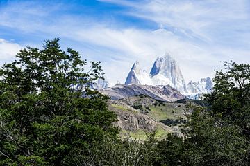 View of the Andes in Argentina