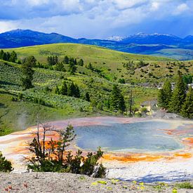 Hot spring in Yellowstone National Park in Montana by Thomas Zacharias
