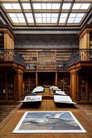 Library 2 - Teylers Museum
