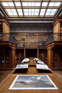 Bibliotheek 2 - Teylers Museum van Teylers Museum