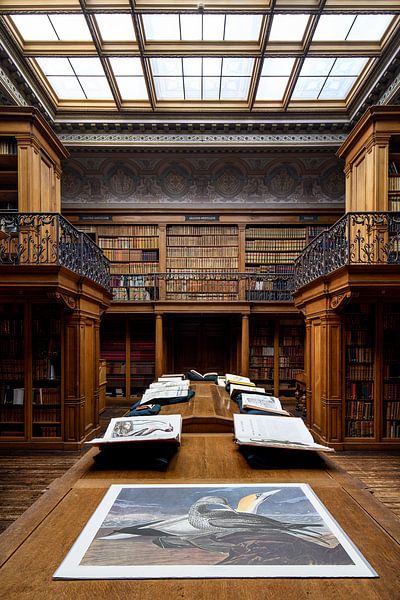 Library 2 - Teylers Museum by Teylers Museum