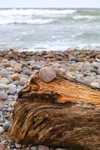 Baltic Sea by Thomas Jäger