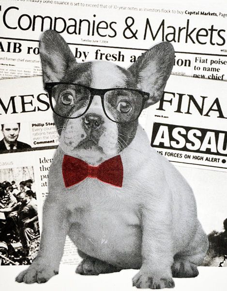 Wall street dog, 2015, (screen printing) van Anne Storno
