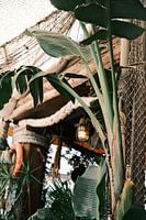 Gemütliches botanisches Seerestaurant auf Ibiza // Ibiza Reisefotografie