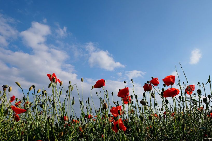 Summertime by Ostsee Bilder