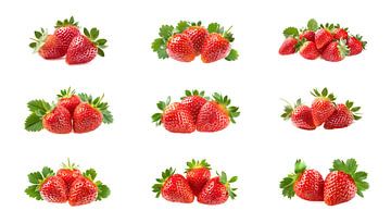 Satz Erdbeeren isoliert auf weißem Hintergrund, Ausschnitt von Animaflora PicsStock