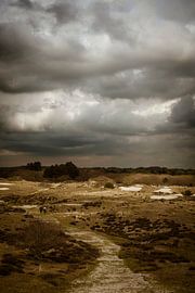 Dark clouds over the dunes by Dennis van Zetten