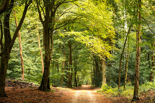 L'automne approche