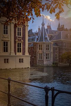 Mauritshuis and prime minister's turret on Hofvijver in The Hague by gaps photography