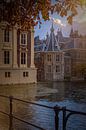 Mauritshuis and prime minister's turret on Hofvijver in The Hague by gaps photography thumbnail