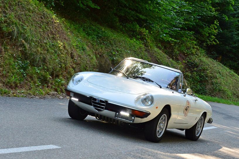 Alfa Romeo Spider 2000  Eggberg Klassik von Ingo Laue