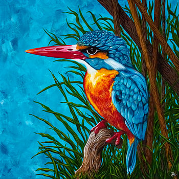 Martin-pêcheur bleu