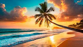 Droomstrand met palmbomen