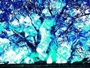 Tree Magic 136-B