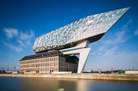 Hafenhaus, Antwerpen, Flandern, Belgien von Henk Meijer Photography Miniaturansicht