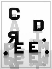 CARPE DIEM met letters en witte/zwarte balletjes van Gerhard de Wit