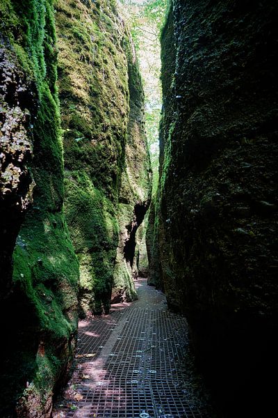 Sentier de randonnée à travers les gorges romantiques du Dragon près d'Eisenach par Heiko Kueverling