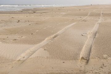 Sporen in het Noordzee strand van Terschelling von Tonko Oosterink