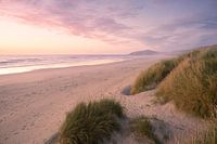 dreamy sunset