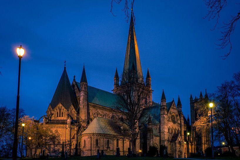 Nidaros kathedraal - Trondheim van Rene Wolf