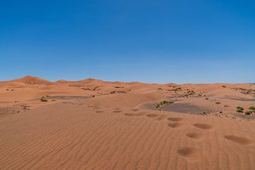 Wüstenwanderungen von Robert de Boer