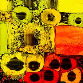 Neighbourhood by Agnieszka Zietek