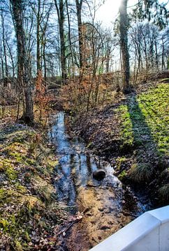 Een beekje in het bos. van Jurjen Jan Snikkenburg