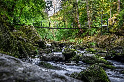 Suspension bridge in the Buchberger Leite by Berthold Ambros